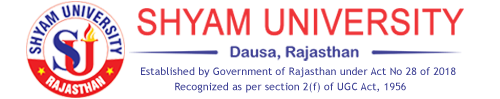 Shyam University