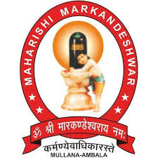 Maharishi Markandeshwar - MM