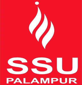 Sri Sai University